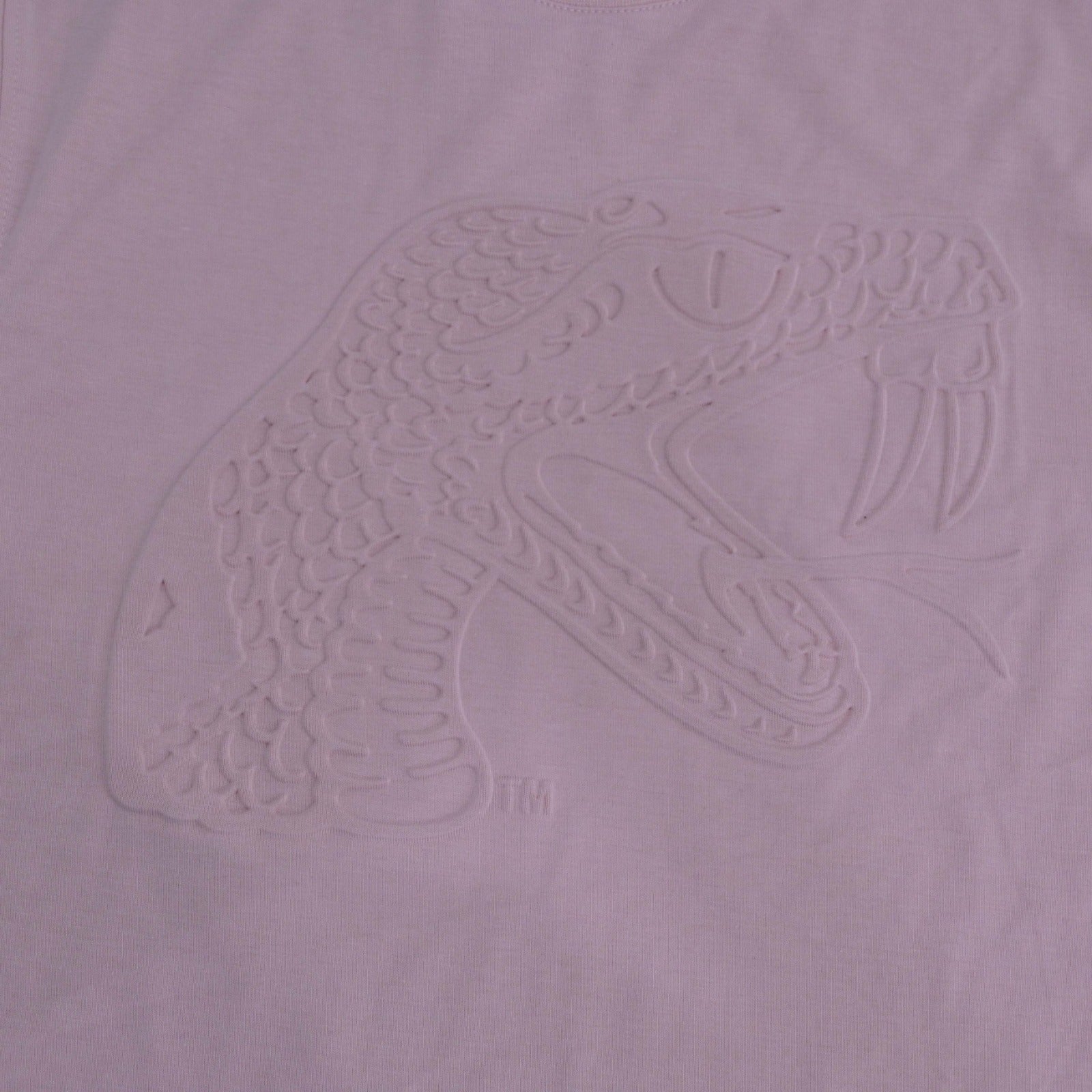 FAMU goes PINK